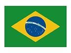 Flag Stock Temporary Tattoo - Brazil Flag (2"X1.5")