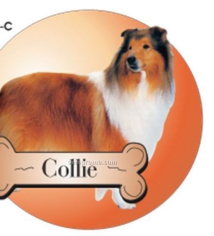 Collie Dog Acrylic Coaster W/ Felt Back