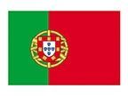 Flag Stock Temporary Tattoo - Portugal Flag (2"X1.5")