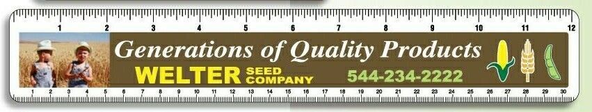 12" Rectangle Economy Ruler W/ Inches And Centimeters
