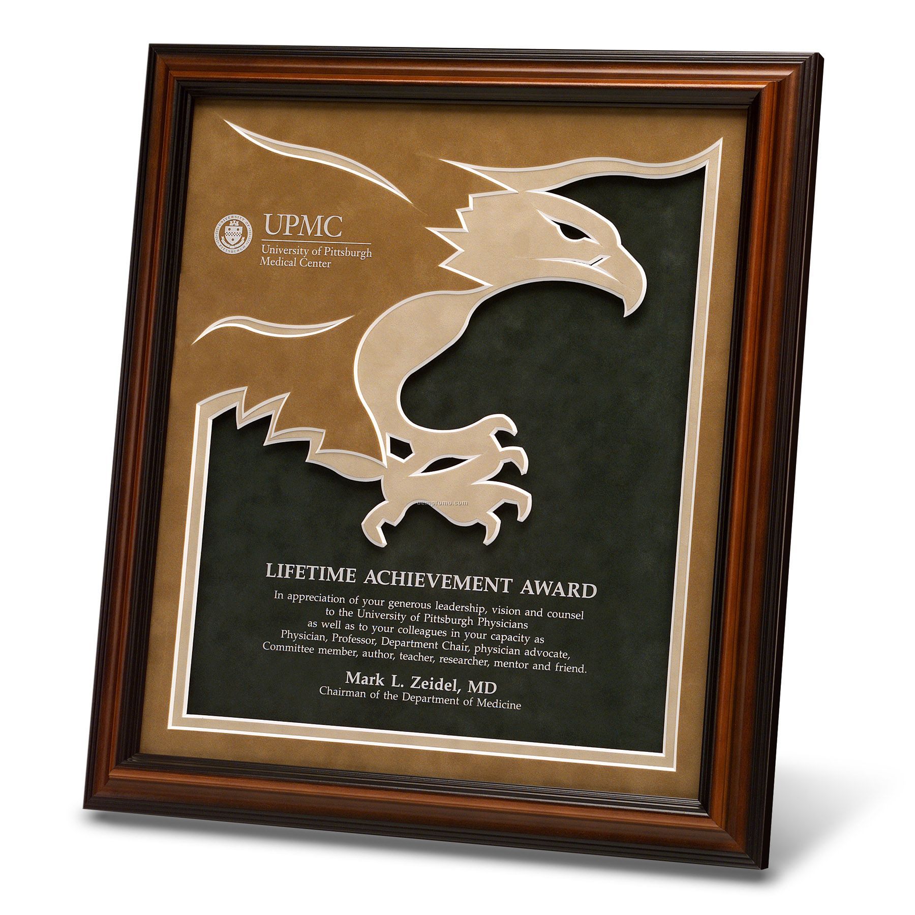 Framed Designer Matted Award (12