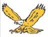 Stock Landing Eagle Mascot Chenille Patch