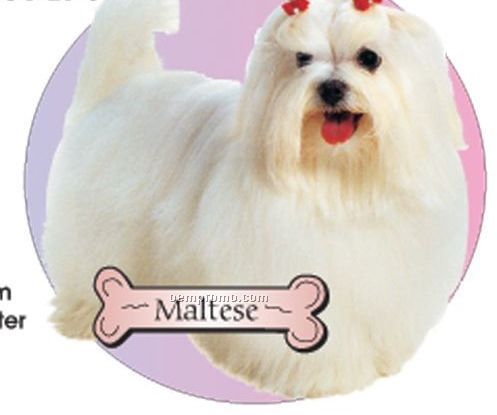 Maltese Dog Acrylic Coaster W/ Felt Back