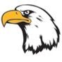 Stock Eagle Mascot Chenille Patch