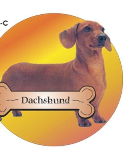 Dachshund Dog Acrylic Coaster W/ Felt Back
