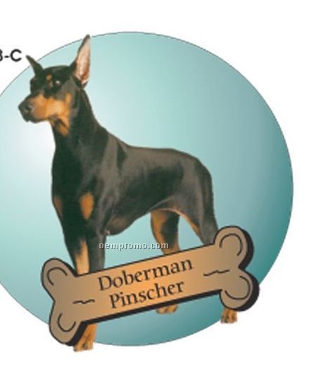 Doberman Pinscher Dog Acrylic Coaster W/ Felt Back