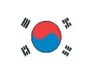 Flag Stock Temporary Tattoo - Korea Flag (2"X1.5")
