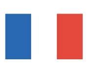 Flag Stock Temporary Tattoo - France Flag (2