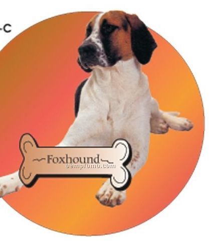 Foxhound Dog Acrylic Coaster W/ Felt Back