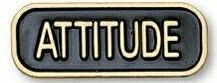 Attitude Stock Pin