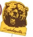 Bear Mascot On A Stick