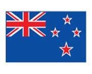 Flag Stock Temporary Tattoo - New Zealand Flag (2"X1.5")