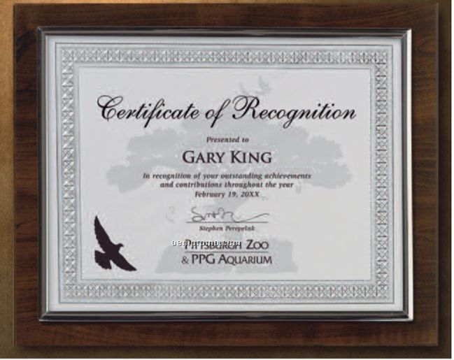 Certificate Gallery Certificate Holder Walnut Finish With Silver Trim