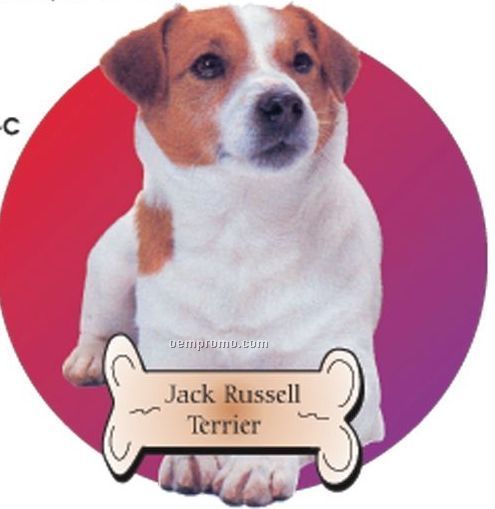 Jack Russell Terrier Dog Acrylic Coaster W/ Felt Back