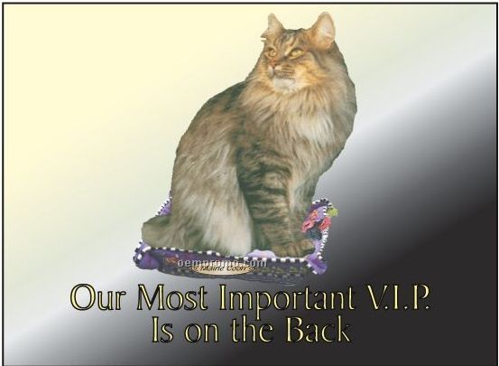 Maine Coon Cat Rectangle Hand Mirror (2 1/2"X3 1/2")