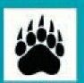 Sports & Mascots Stock Temporary Tattoo - 5 Toe Black Claw Print (2"X2")