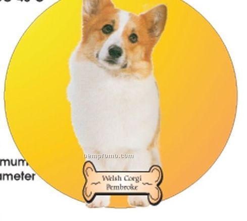 Welsh Corgi Dog Acrylic Coaster W/ Felt Back