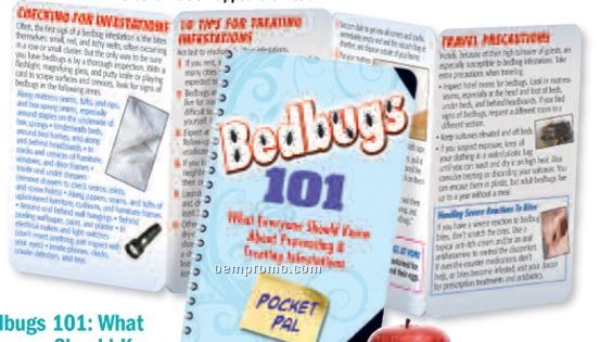 Bedbugs 101: What Everyone Should Know About Preventing And Treating