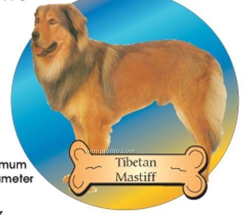Tibetan Mastiff Dog Acrylic Coaster W/ Felt Back