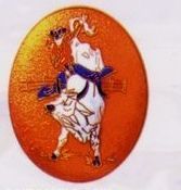 Bull Rider Cloisonne Medallion Bolo Tie