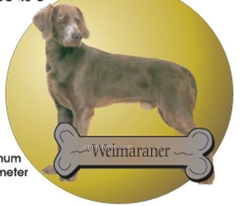 Weimaraner Dog Acrylic Coaster W/ Felt Back