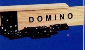 28 Piece Domino Set