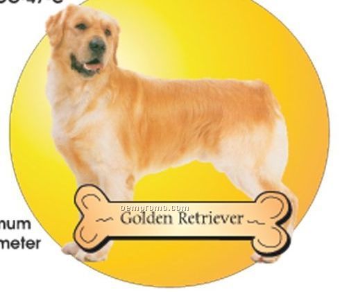 Golden Retriever Dog Acrylic Coaster W/ Felt Back