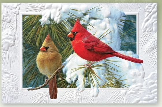 Candid Cardinals Recycled Holiday Card W/ Lined Envelope