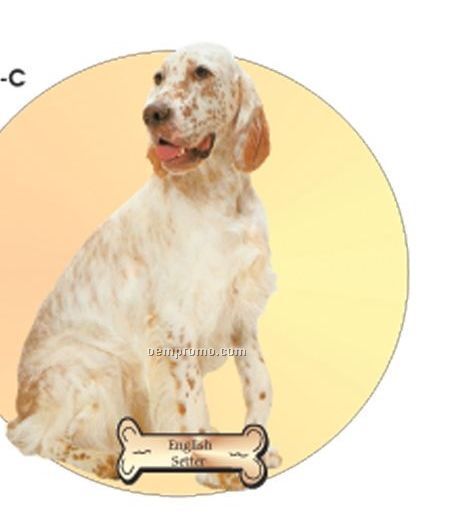 English Setter Dog Acrylic Coaster W/ Felt Back