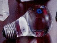 3d Light Bulb Lucite Embedment