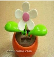 Dancy Solar Flower