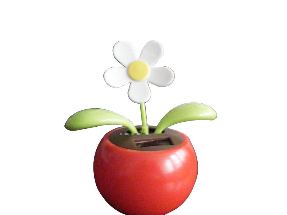 Solar Apple Flower