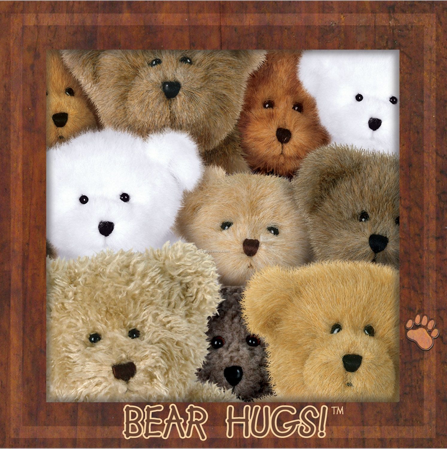 Boyd's Bears Bear Hugs! Luncheon Napkins