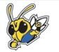 Stock Hornet Mascot Chenille Patch