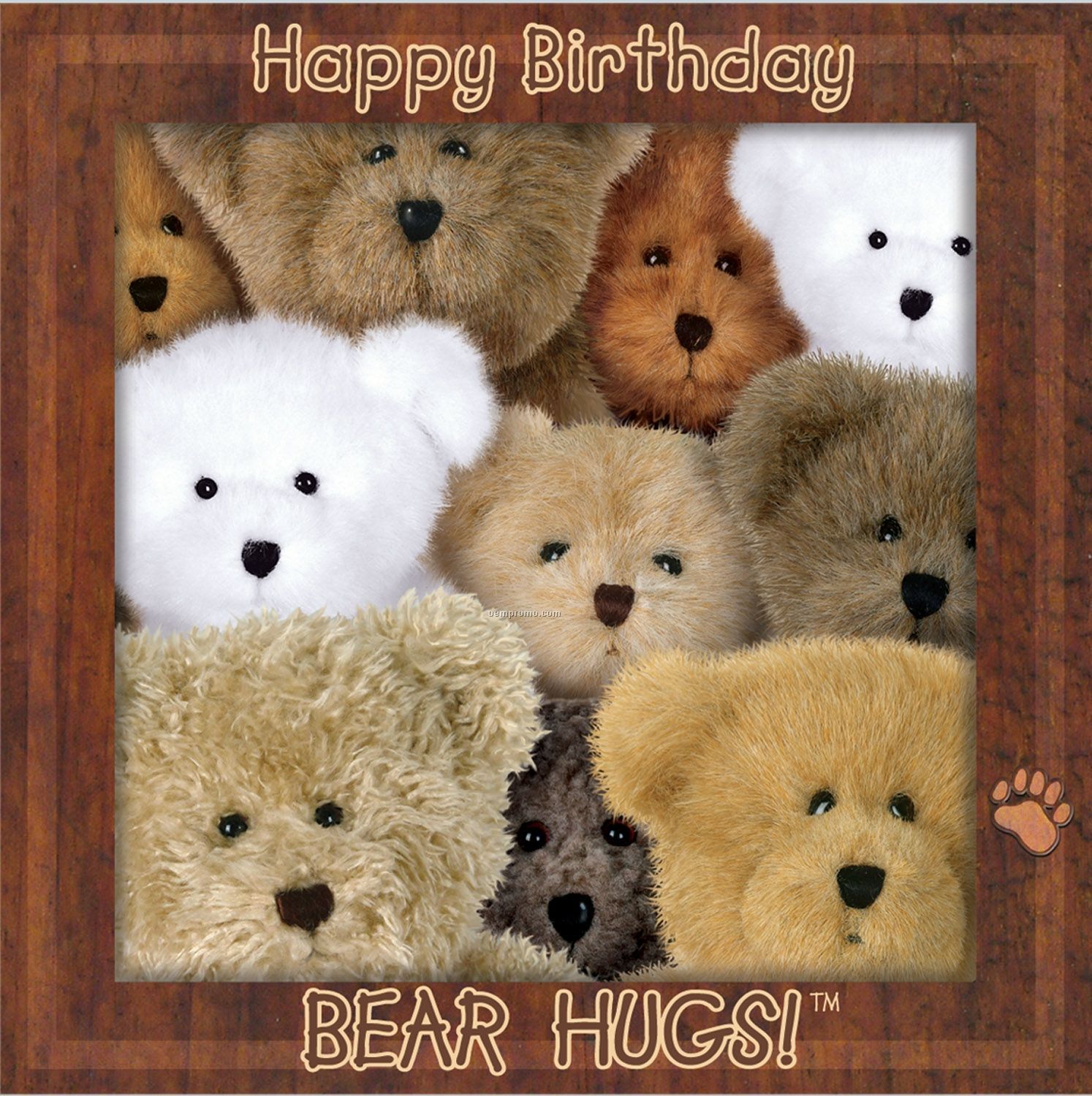 Boyd's Bears Bear Hugs! Birthday Luncheon Napkins