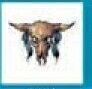 Stock Temporary Tattoo - Cow Skull (2