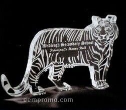 Acrylic Paperweight Up To 12 Square Inches / Tiger