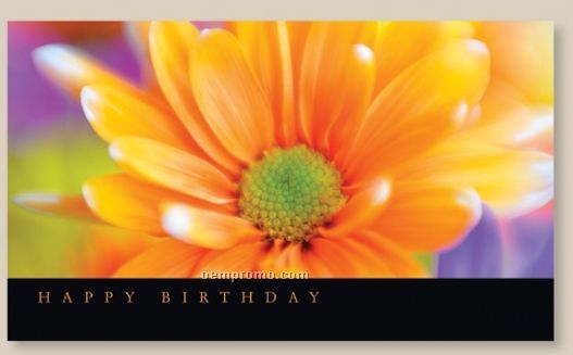 Floral Greetings Birthday Card W/ Unlined Envelope