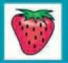 Stock Temporary Tattoo - Speckled Strawberry (2
