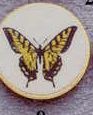 Medallion Kromafusion Team Mascot - Butterfly Insert