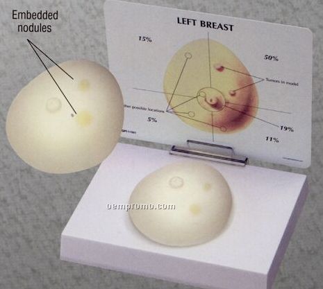 Anatomical Breast Cancer Soft Tissue Model