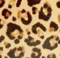 Leopard Oven Mitt