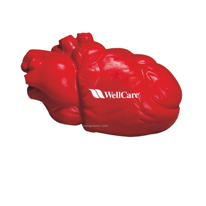 Anatomical Heart Squeeze Toy
