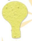Lightbulb Plant-a-shape Bookmark
