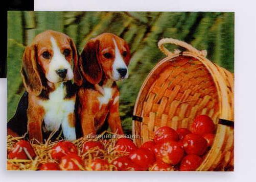 Opti Lenticular Postcards (3d)