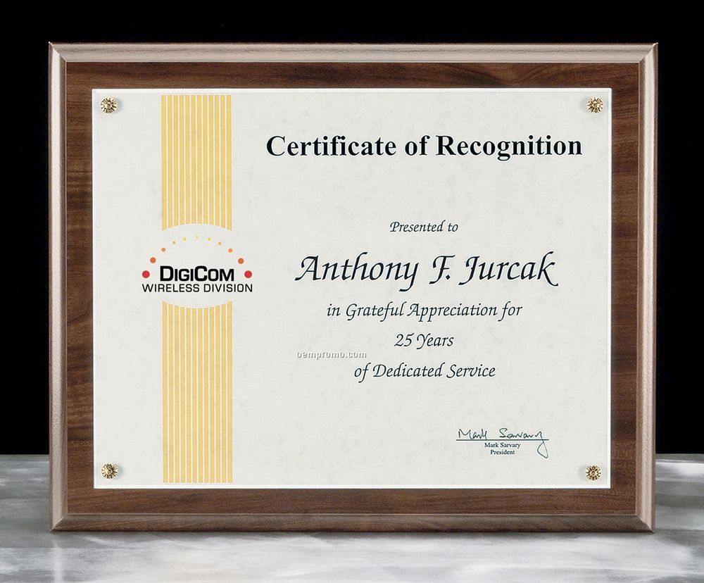 Framed Certificate Award -13
