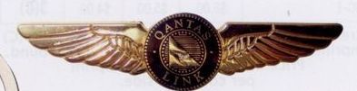 Gold Plated Custom Service Award With Inlaid Enamel