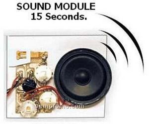Sound Module W/Custom Message