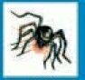 Holidays Stock Temporary Tattoo - Long Legged Spider (2