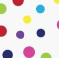 Polka Dot Multi Color Pot Holder